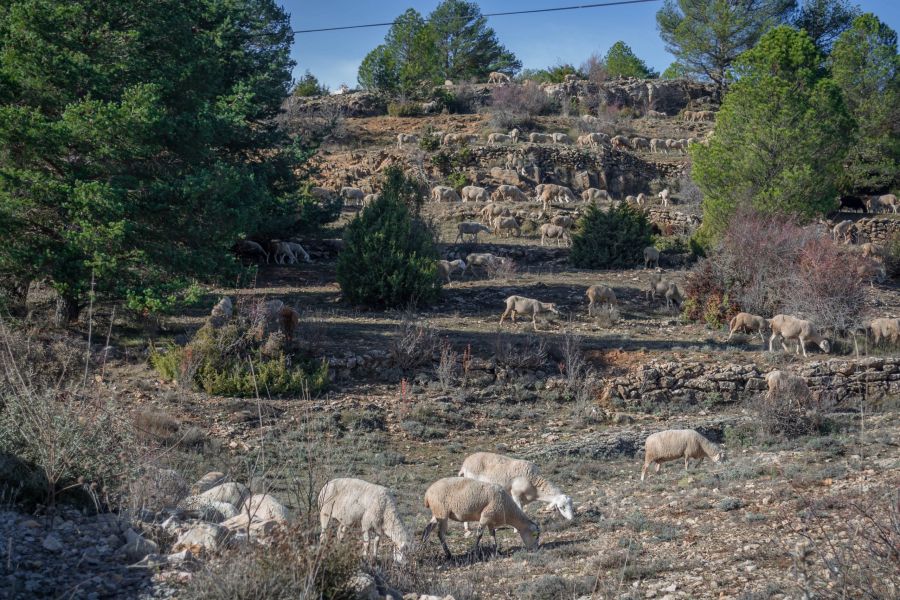 Foto de pueblo de la Sierra
