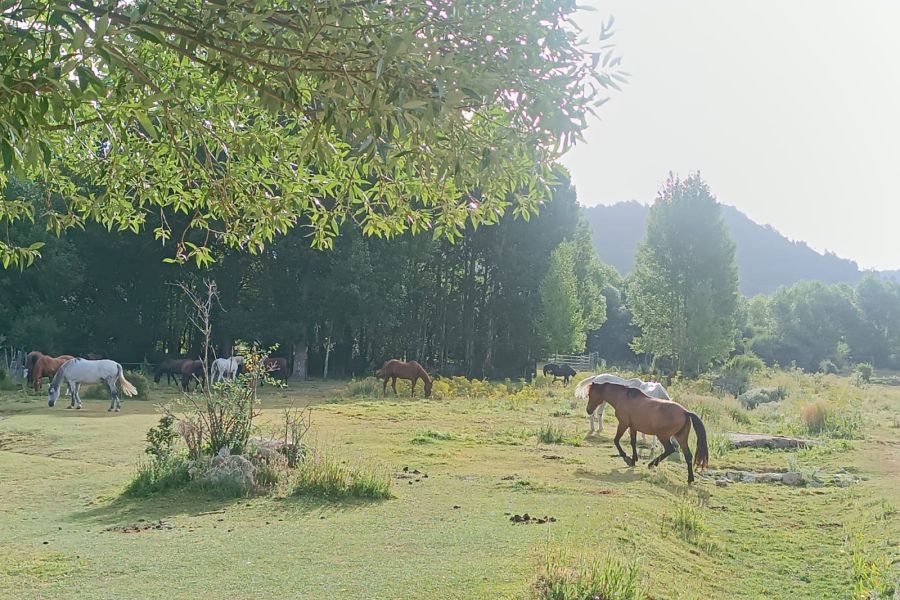 Foto de pueblo de la Sierra
