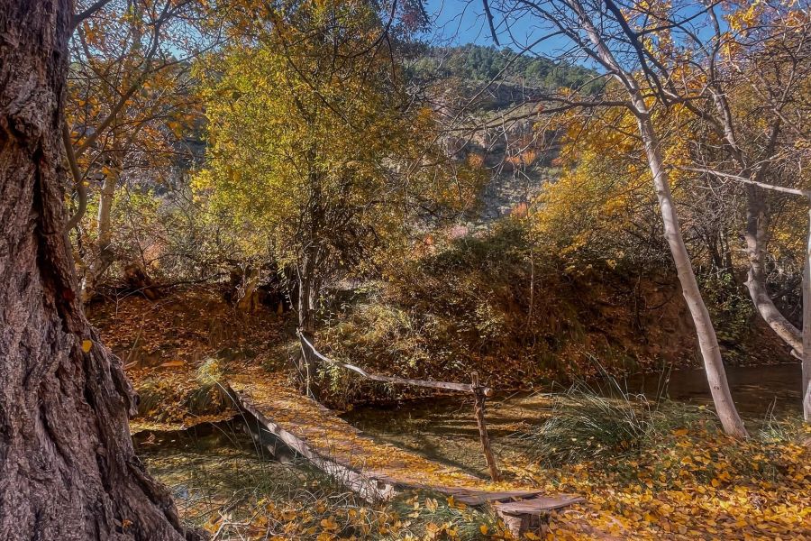 Ruta por la Sierra de Albarracín