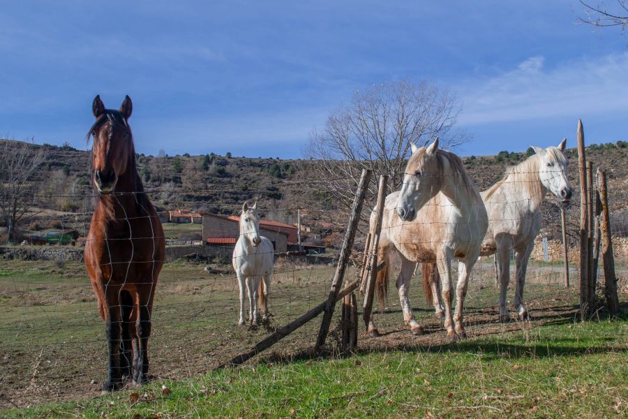 Foto de pueblo de la Sierra