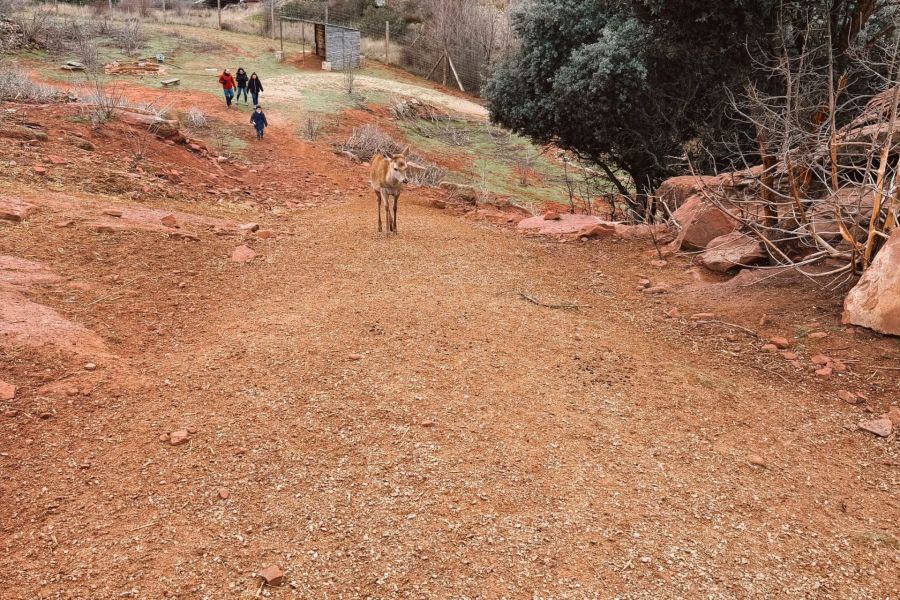 Ruta por la Sierra de Albarracín
