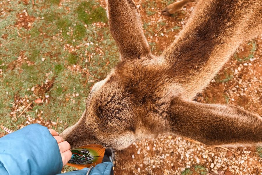 Ruta por la Sierra de Albarracín