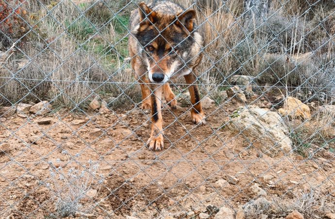 Hotel Prado del Navazo - foto de Ruta por la sierra