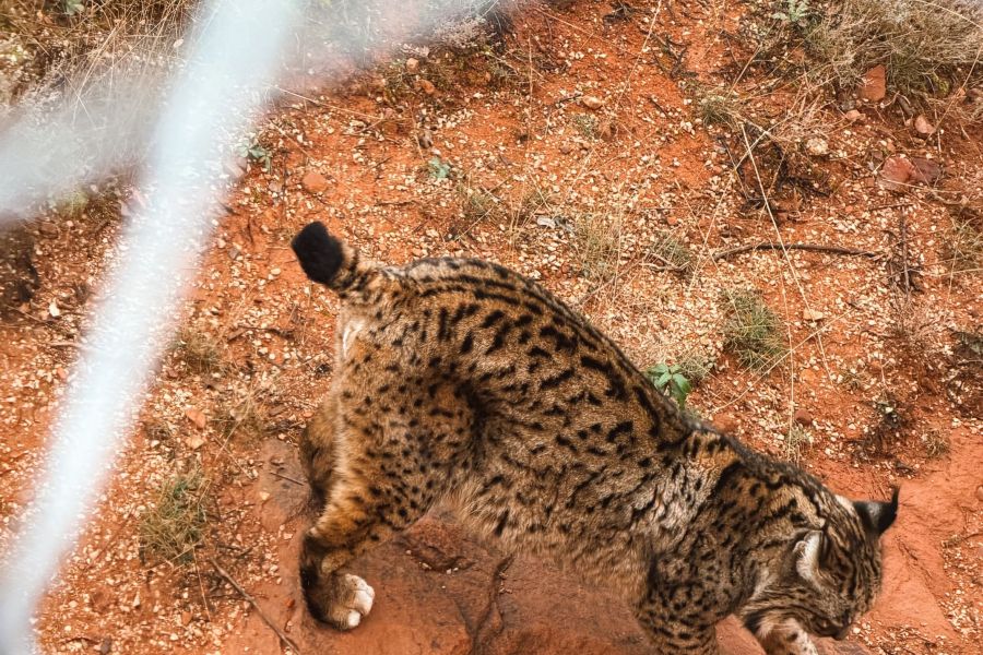Ruta por la Sierra de Albarracín