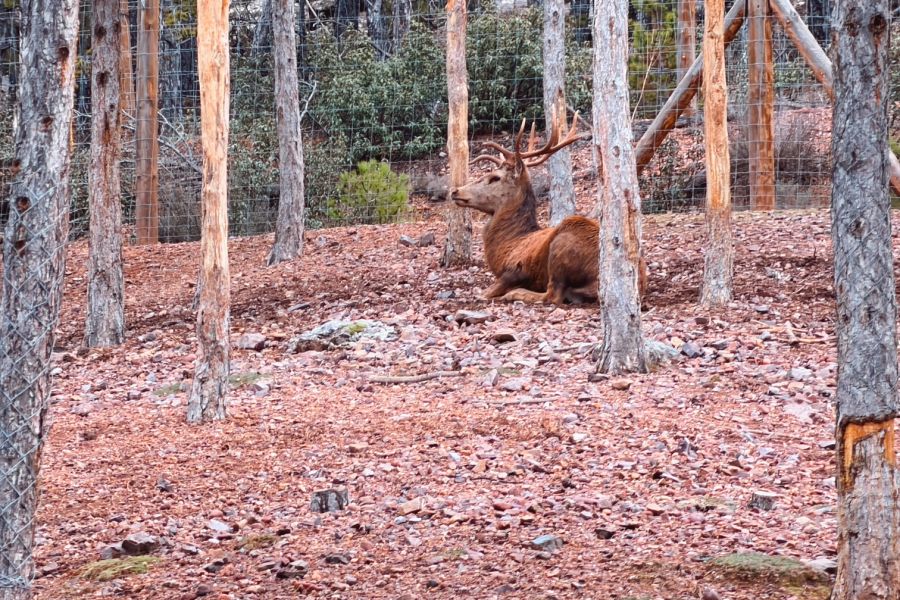 Ruta por la Sierra de Albarracín