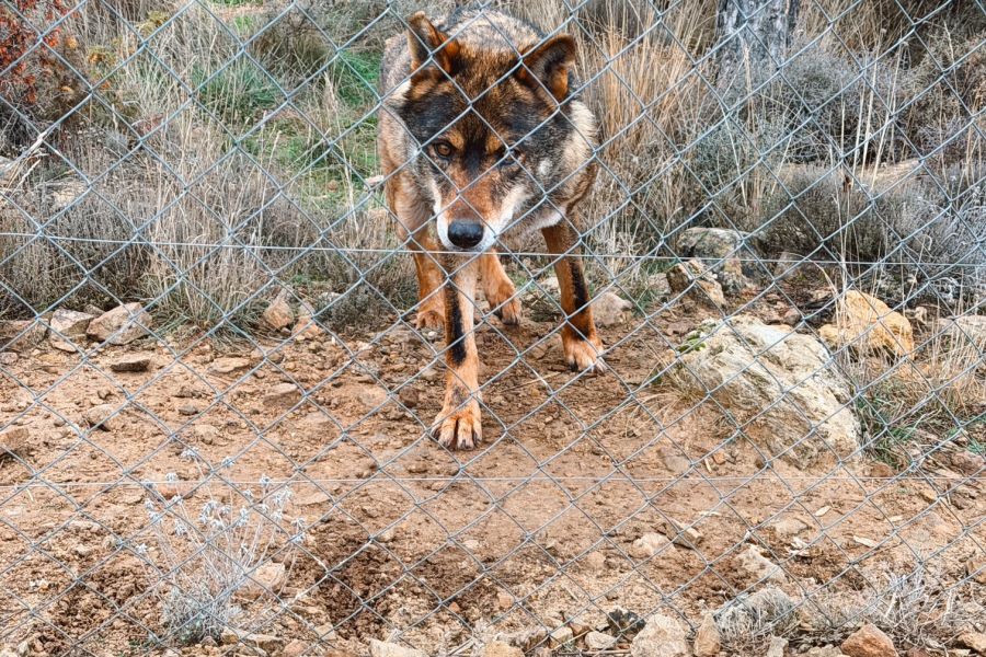 Ruta por la Sierra de Albarracín