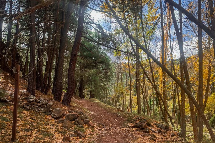 Ruta por la Sierra de Albarracín